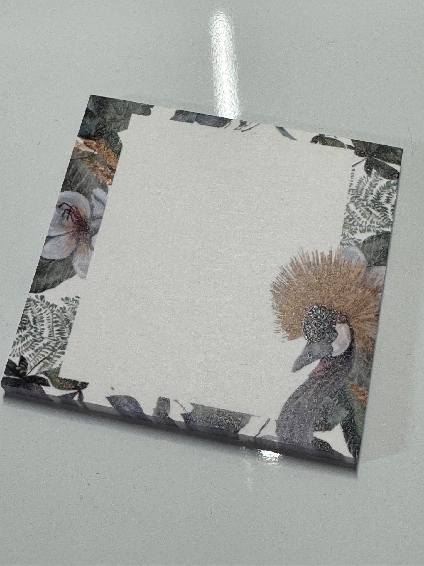 Sticky Notes | Wild Times Ahead | NP-0210