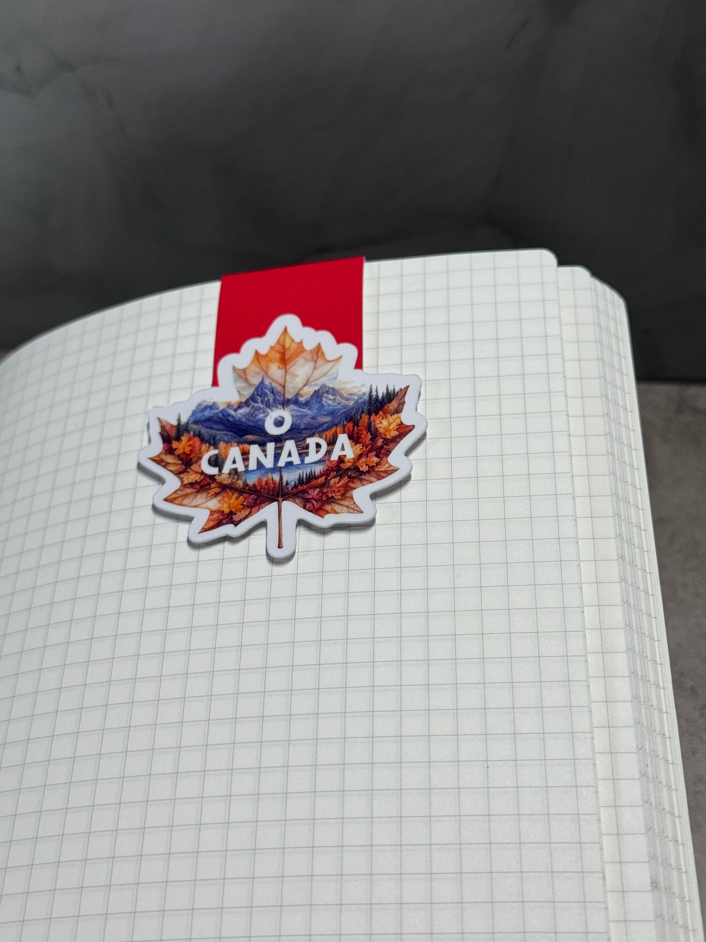 Magnetic Bookmark | True North