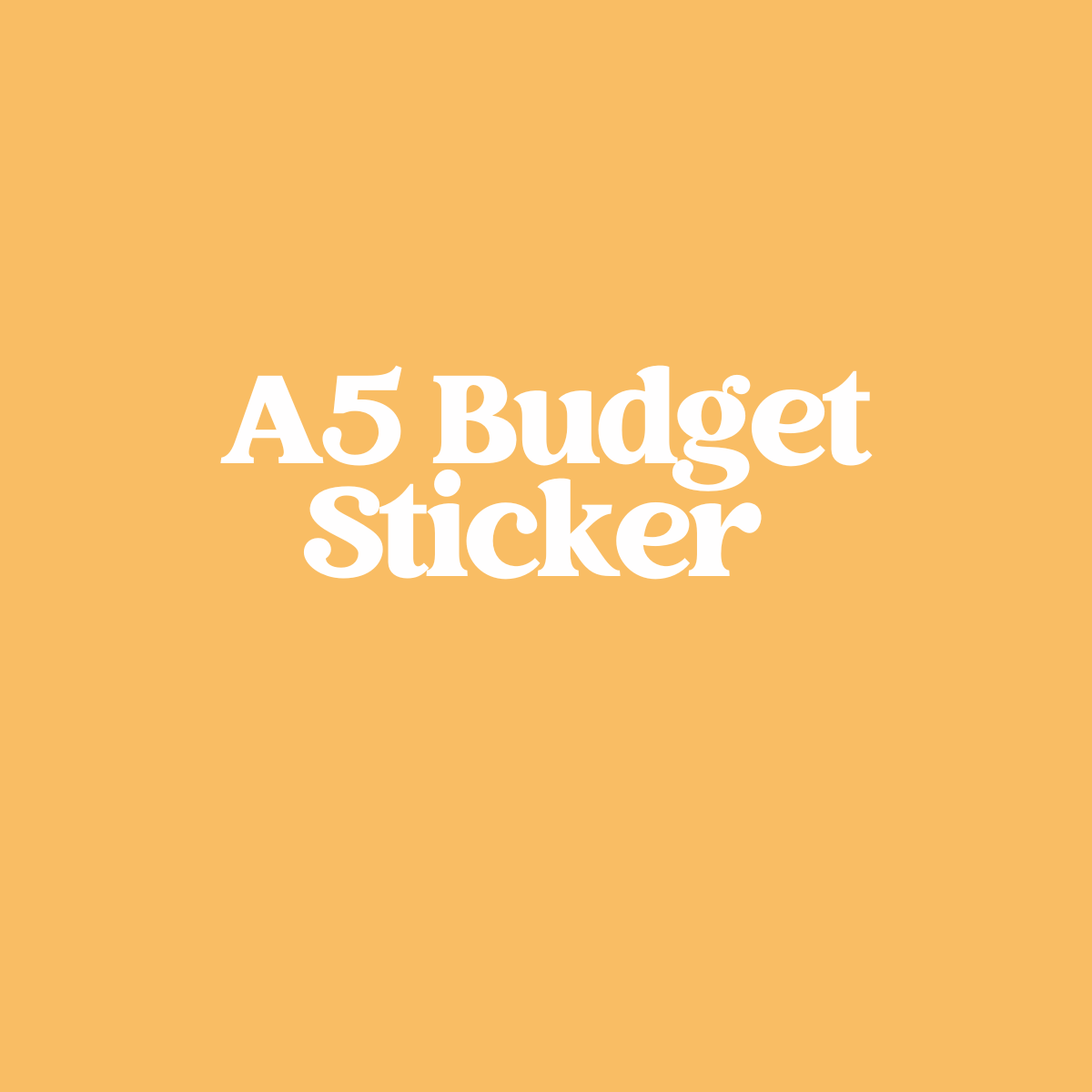 A5 Budget Sticker Kits