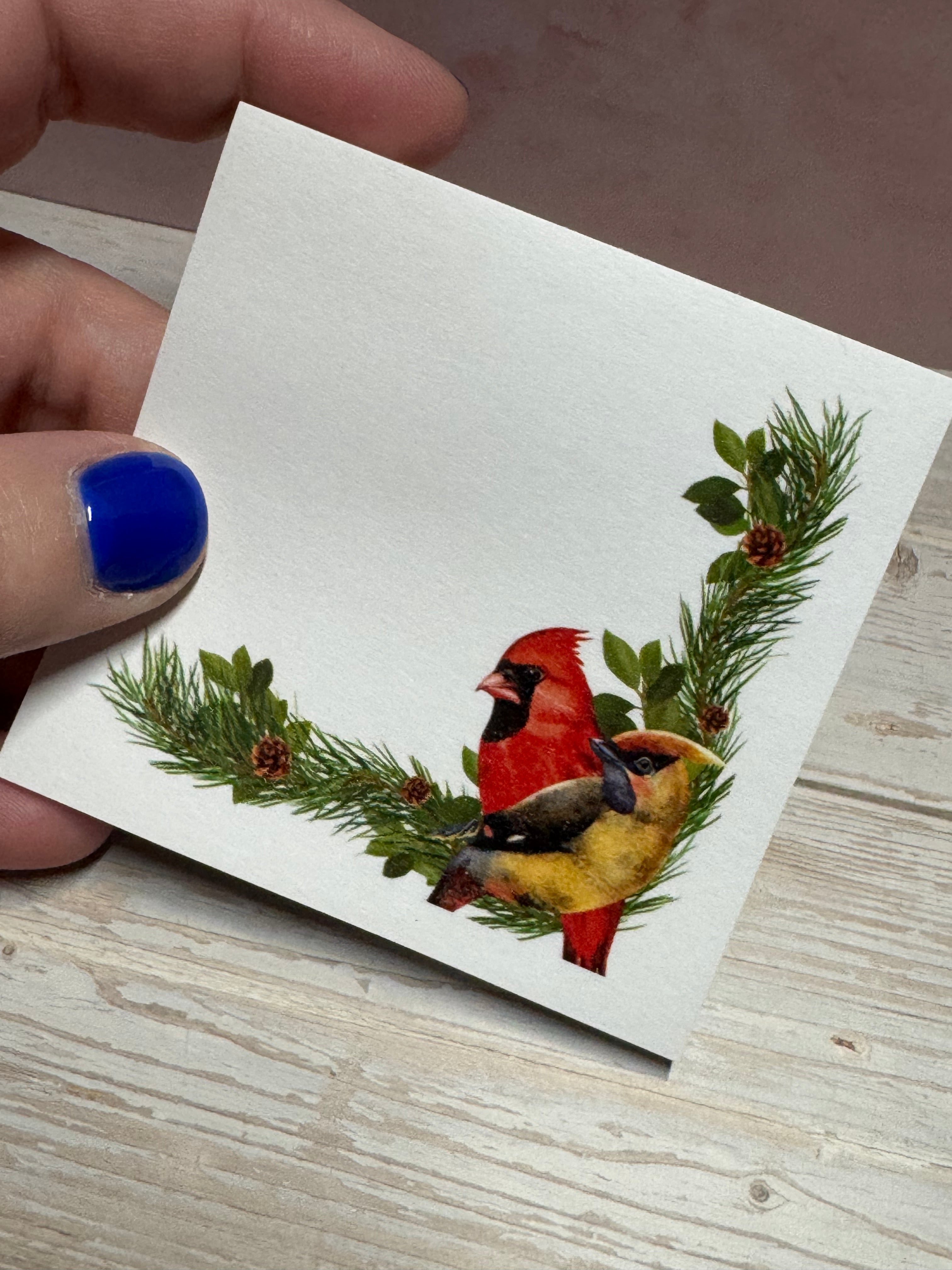 Sticky Notes | Cardinal Pair | NP-0158