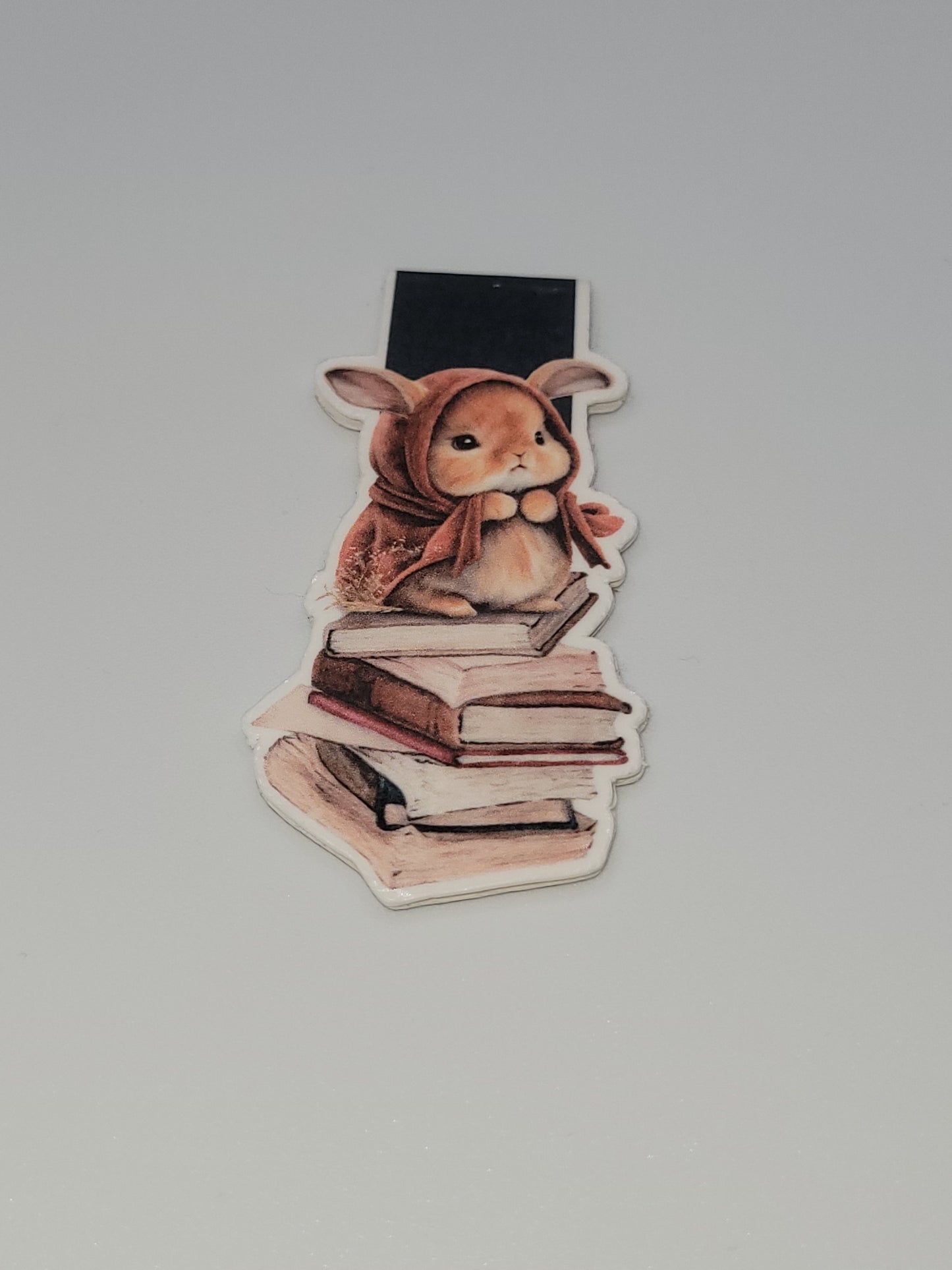 0001 - Red Hood on Books - Magnetic Bookmark