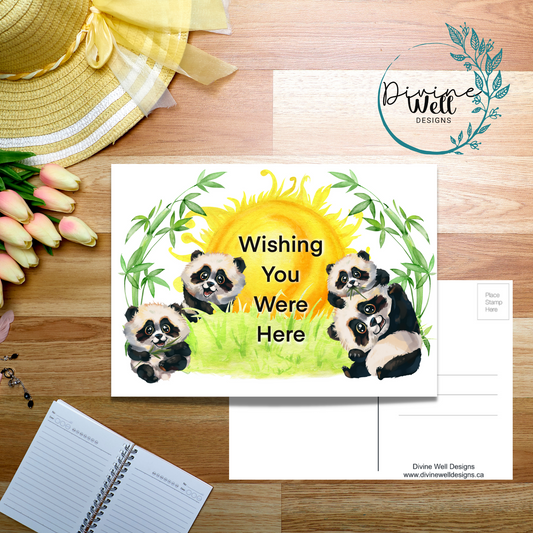 0107 -  Cute Panda - Postcard